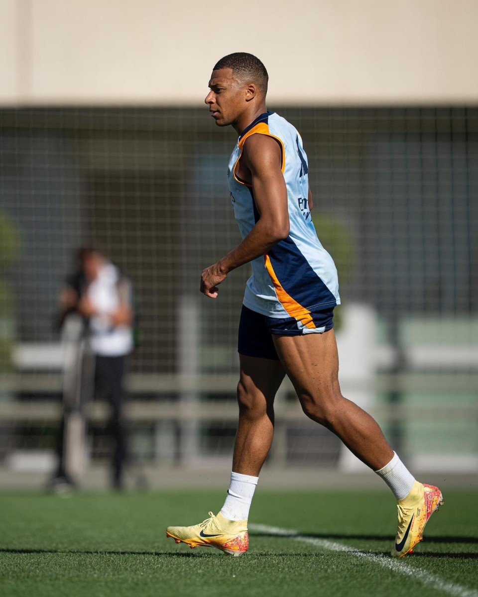 型报告承接 型报告承接